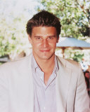 Buy David Boreanaz at AllPosters.com