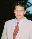 Buy David Boreanaz at AllPosters.com
