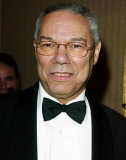 Buy Colin Powell at AllPosters.com