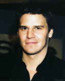 Buy David Boreanaz at AllPosters.com