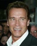 Buy Arnold Schwarzenegger at AllPosters.com