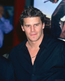 Buy David Boreanaz at AllPosters.com