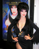 Buy Elvira at AllPosters.com