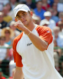 Andy Roddick