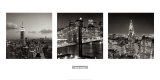Views of New York I