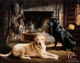 Ducks Unlimited Waiting at Crow's Creek