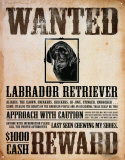 Black Lab Wanted Poster
