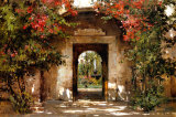 Buy Flowered Doorway at AllPosters.com