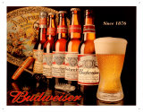 Buy Budweiser Since 1876 at AllPosters.com