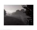 Rivanna Morning