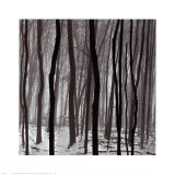 Buy Streaks at AllPosters.com