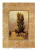 Buy Soft Morning Light at AllPosters.com