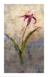 Buy Not Forgotten I at AllPosters.com