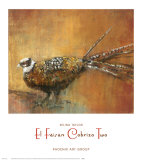 El Faisan Cobrizo II