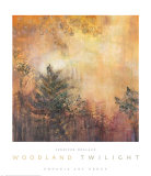 Woodland Twilight