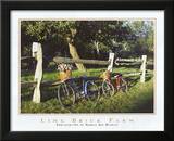 Lime Brick Farm