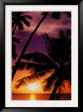 Buy Day's End at AllPosters.com
