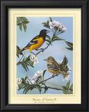 Buy Beauty of Nature II at AllPosters.com