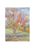 Peach Tree in Bloom at Arles, c.1888