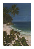 Buy Caribbean Escape I at AllPosters.com