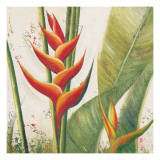 Buy Helliconias with Leaves I at AllPosters.com
