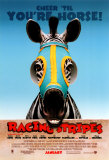 Racing Stripes