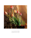 Buy Tulip Reflection at AllPosters.com