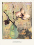 Buy Magnolia Blossoms at AllPosters.com