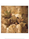Leaf Patterns II
