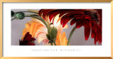 Gerbera Daisies #1