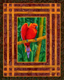 Mandarine Lovebird