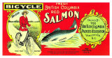 Buy Salmon at AllPosters.com