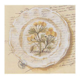 Buy Assiette, Adonis Vernalis at AllPosters.com