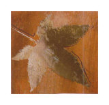 Autumn Leaves IV
