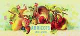 Abricot au Jus
