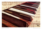 Buy Ebony and Ivory at AllPosters.com