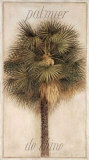 Buy Palmier de Chine at AllPosters.com