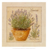 Buy Herbes de Provence, Lavande at AllPosters.com