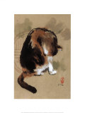 Cat's Feeling