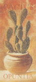 Opuntia