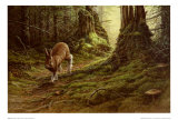 Buy Green Carpet at AllPosters.com