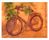 Bicicletas II