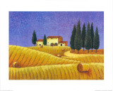 Buy The Colours of Provence II at AllPosters.com