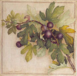 Buy Branche de Figuier II at AllPosters.com