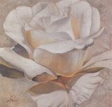 Buy White Passion II at AllPosters.com