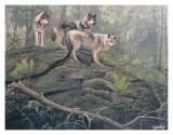 Buy Wolves at AllPosters.com