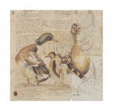 Les Canards