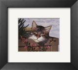 Buy Rocky Selland at AllPosters.com