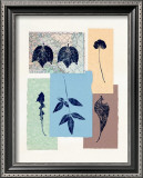 Buy Leaf 101 at AllPosters.com
