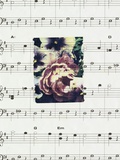 Flowers and Music